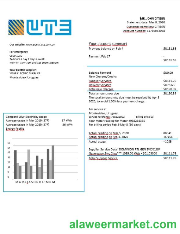 Uruguay UTE electricity bill in Word format